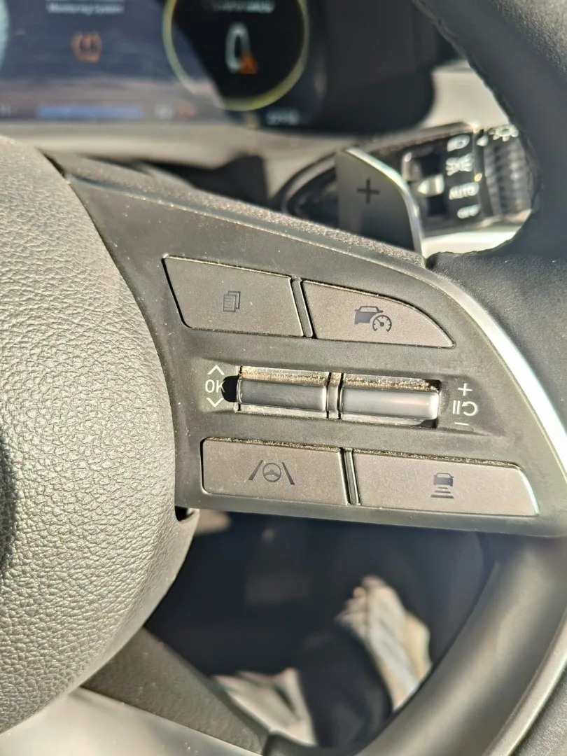 2025 Hyundai PALISADE PALISADE R2.2 7 STR ELITE 8AT4 MY23 thumbnail 17