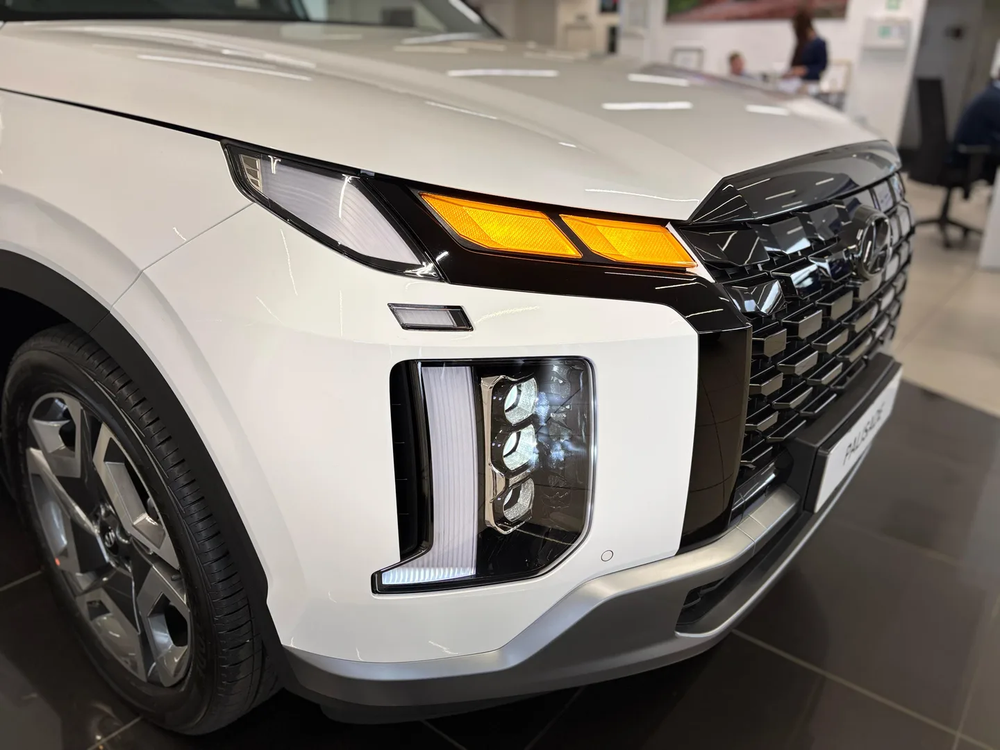 2025 Hyundai PALISADE PALISADE R2.2 7 STR ELITE 8AT4 MY23 thumbnail 13